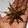 Tiger-Eye-12Points-Star