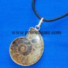 Ammonite-Pendants-With-Black-Cord