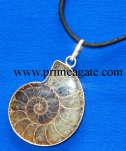 Ammonite-Pendants-With-Black-Cord