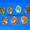 Chakra-Orgone-Oval-Set